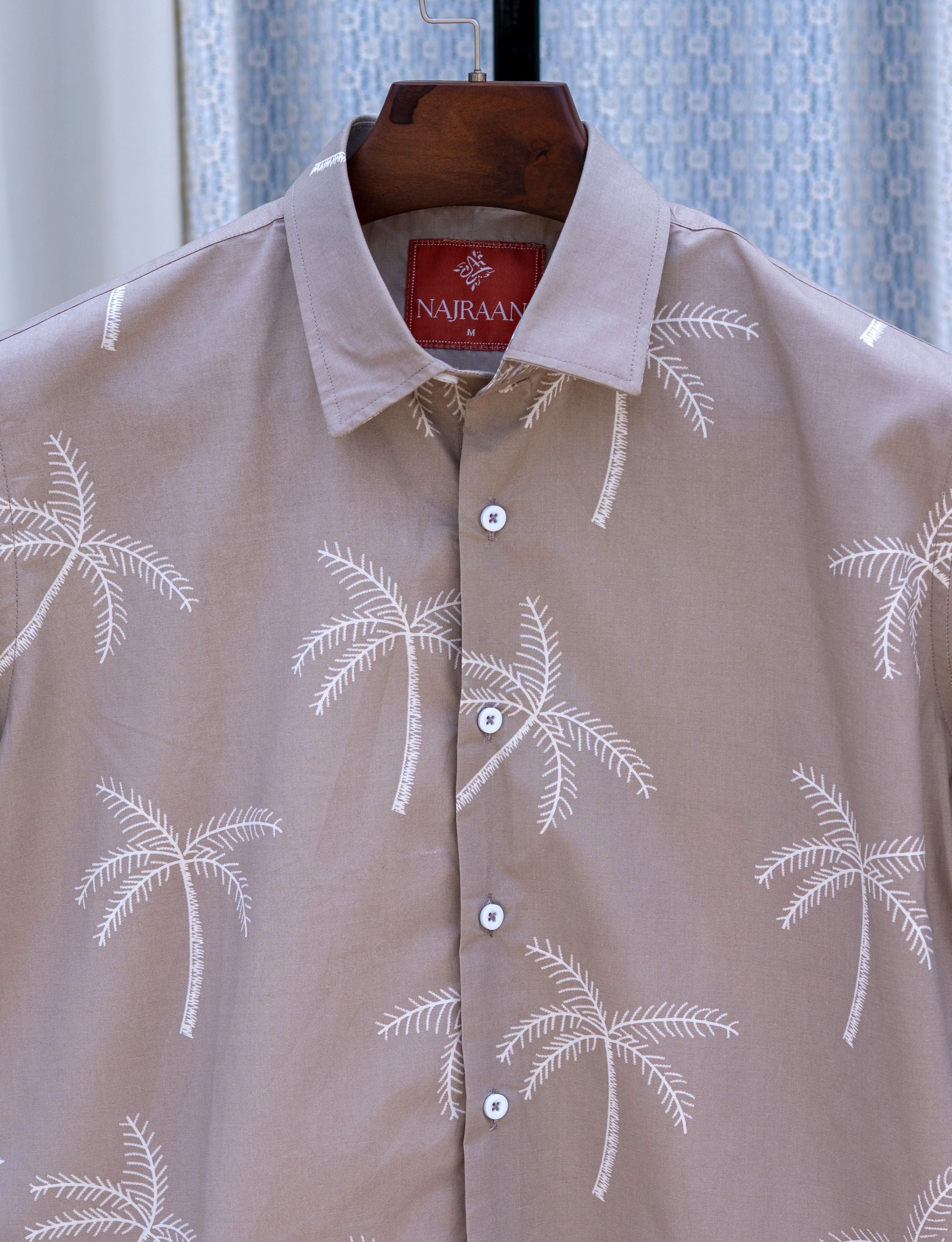 PARADISE PALM