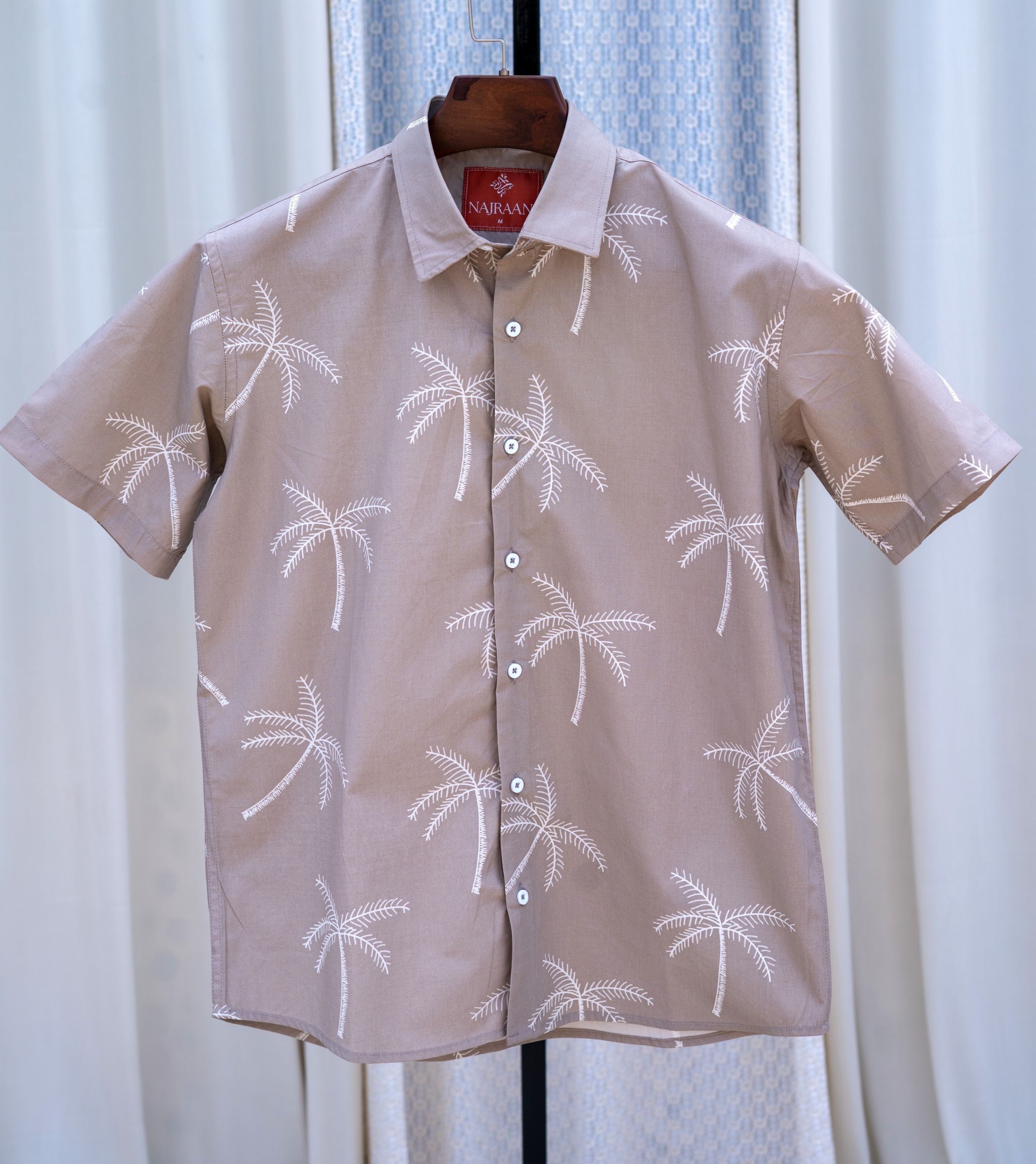 PARADISE PALM