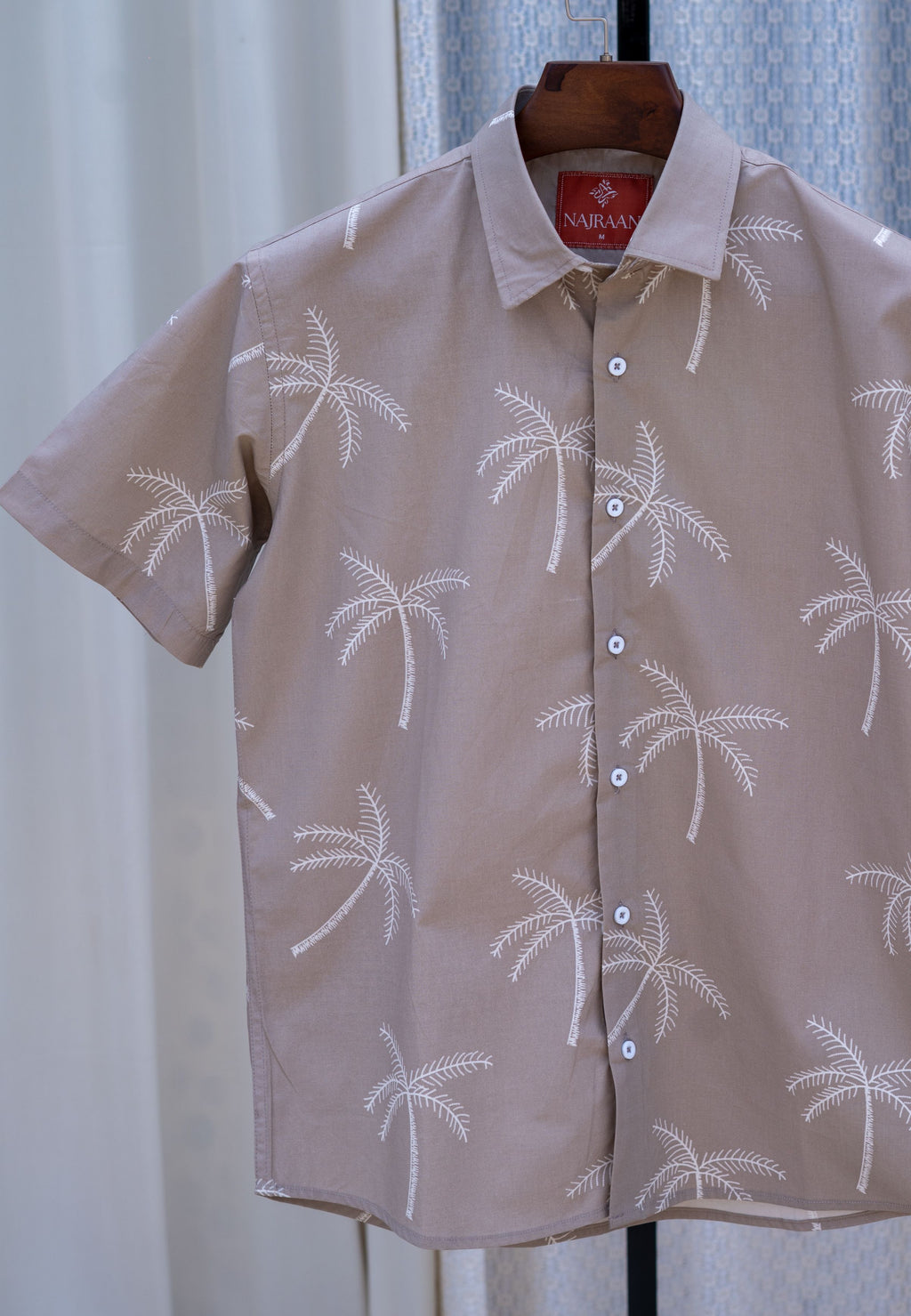PARADISE PALM